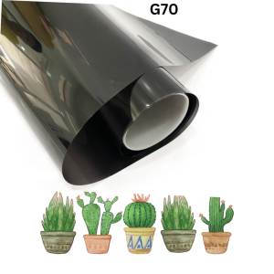 G70- Series GCool gấp đôi nano gốm sứ
